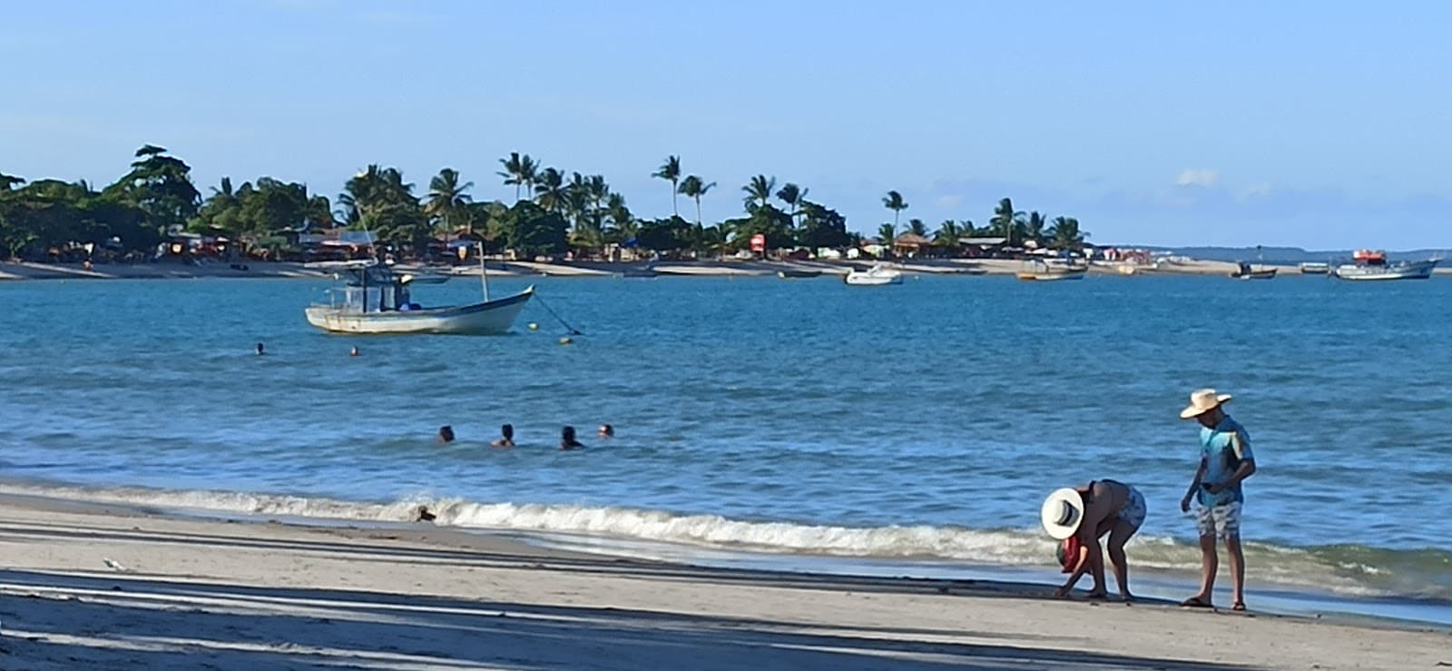 Coroa Vermelha Bahia - Image 1