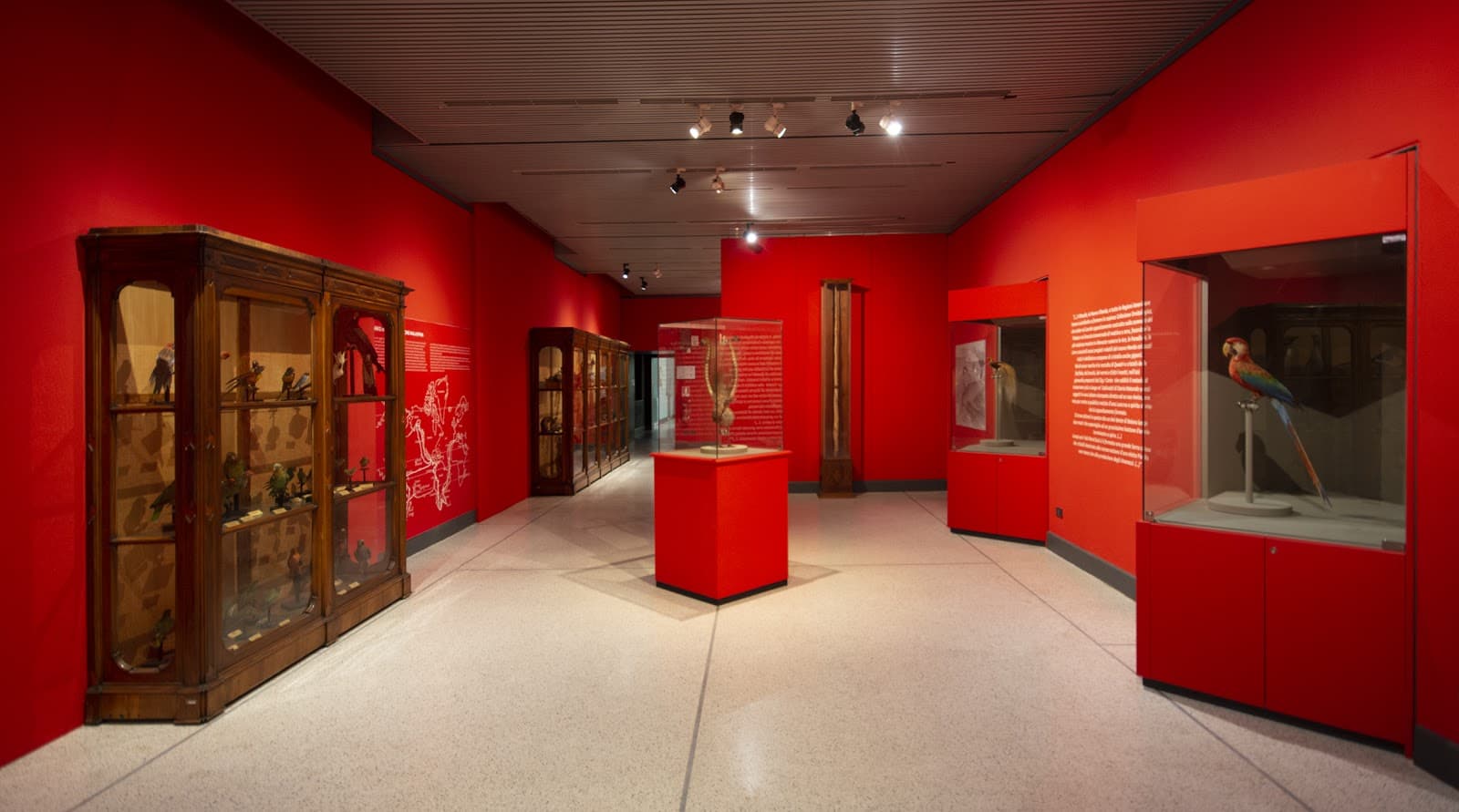 Museo di Storia Naturale Cremona - Image 1