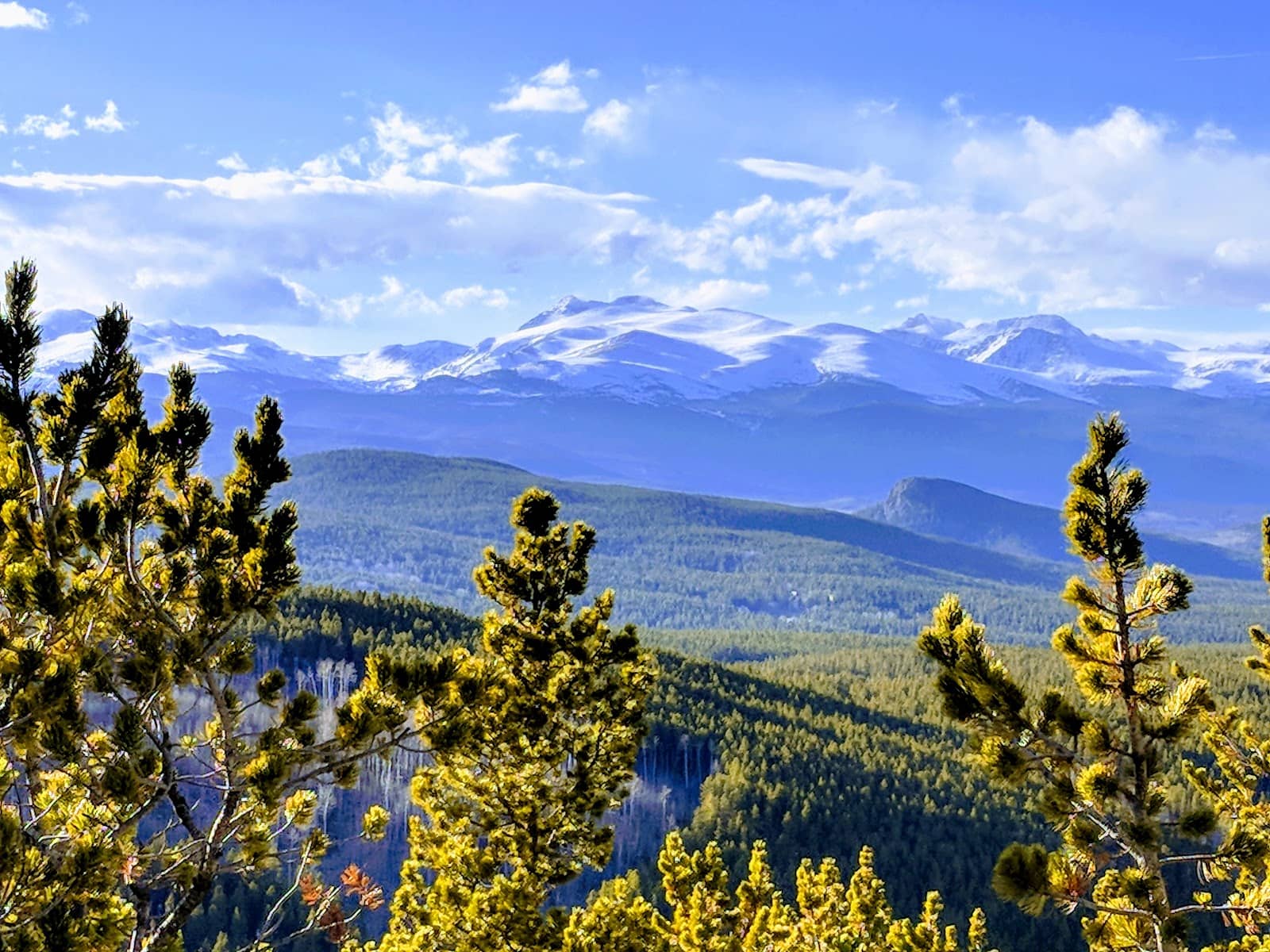 Fall Foliage Spectacle