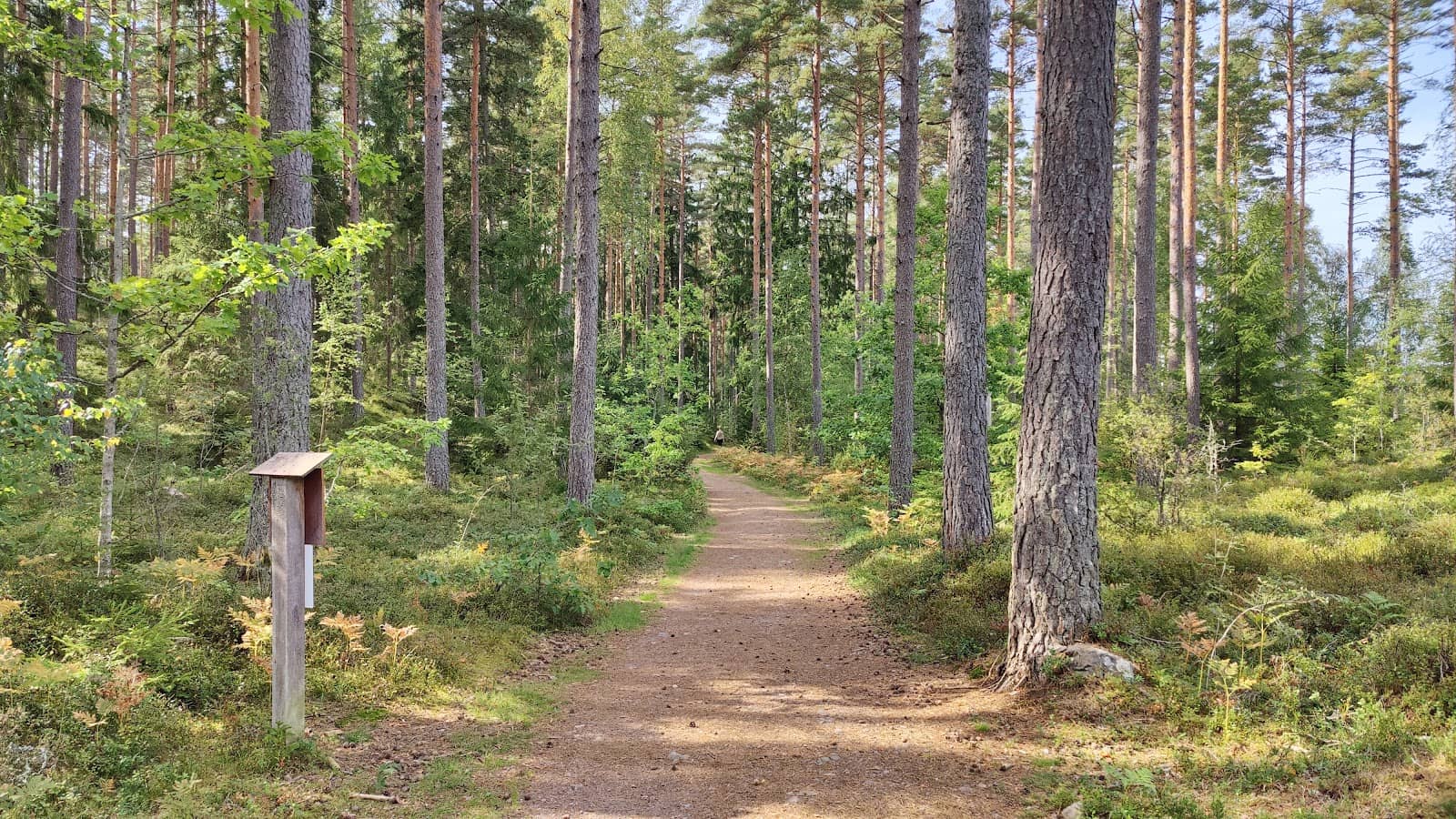 Varied Hiking Trails