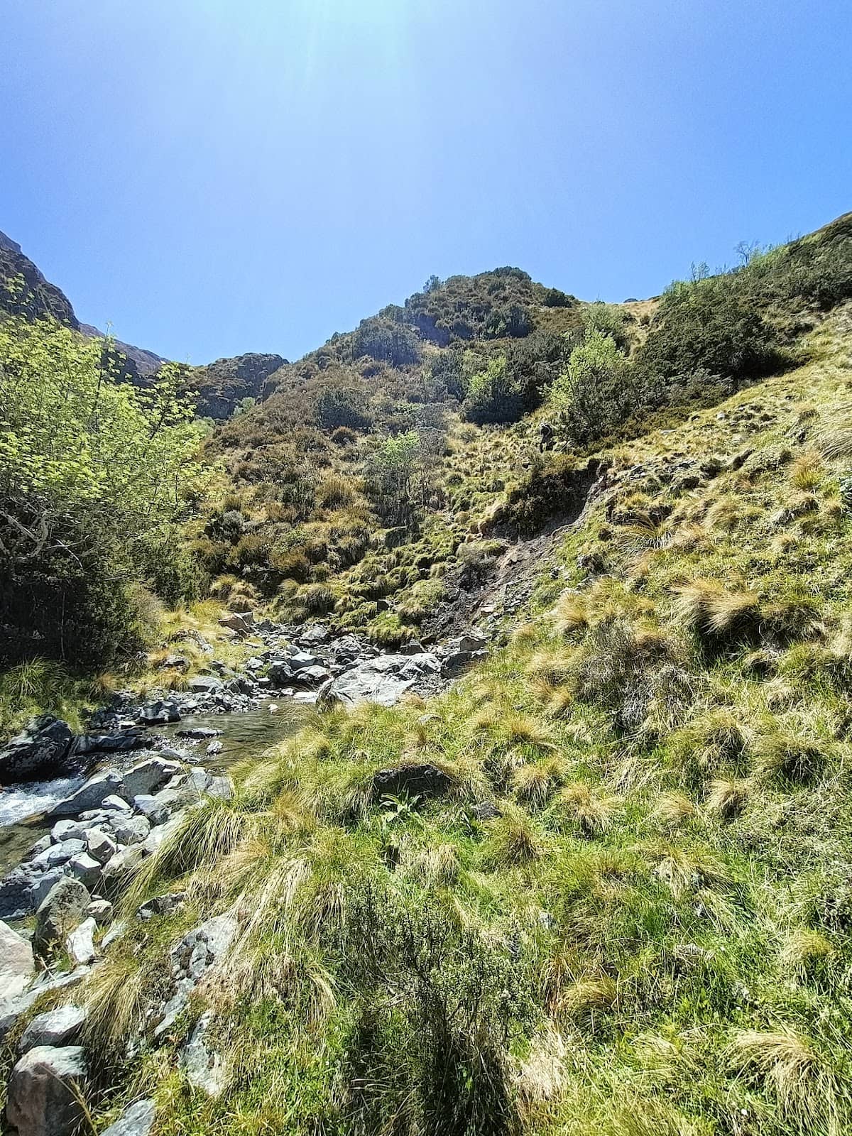 Artisan Food Pairings