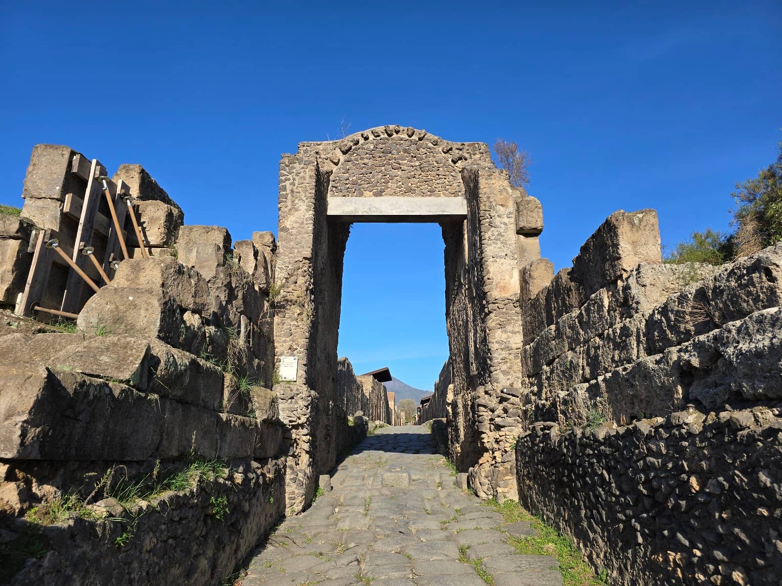 Plaster Casts of Victims