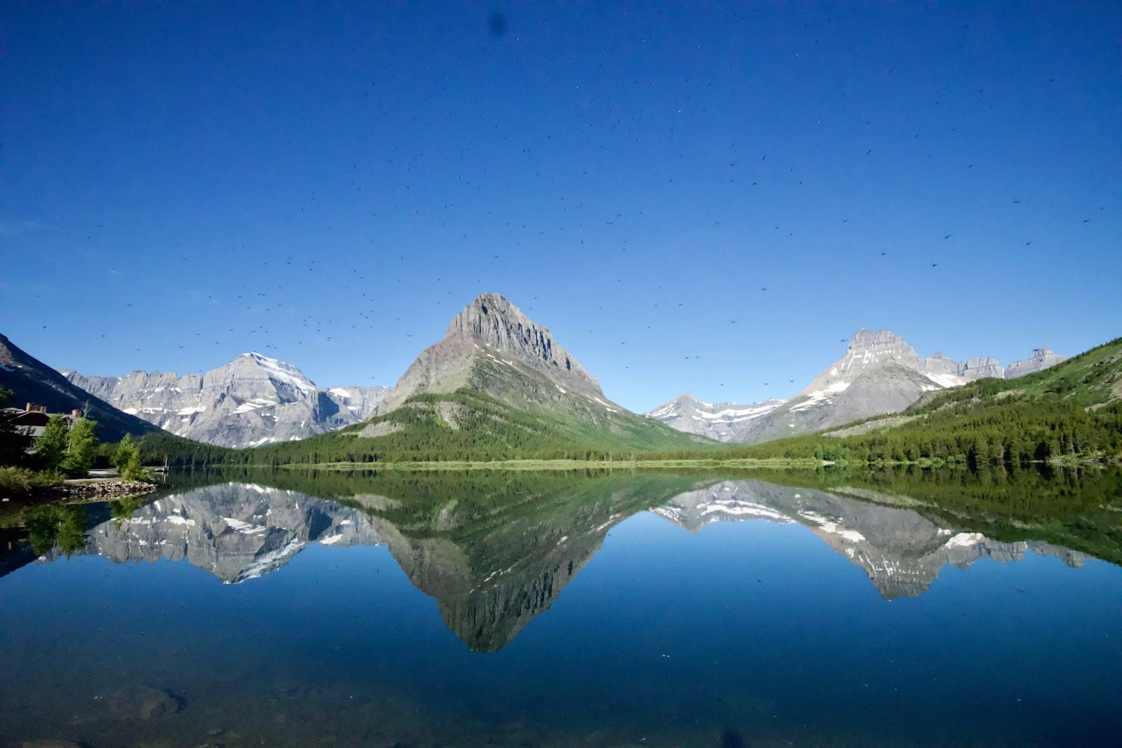 Swiftcurrent Lake Glacier National Park - Image 1