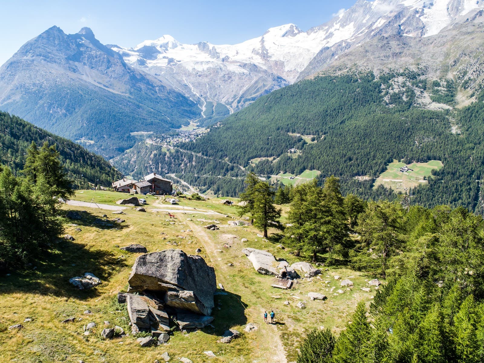 Larch Forest Saas-Fee - Image 1