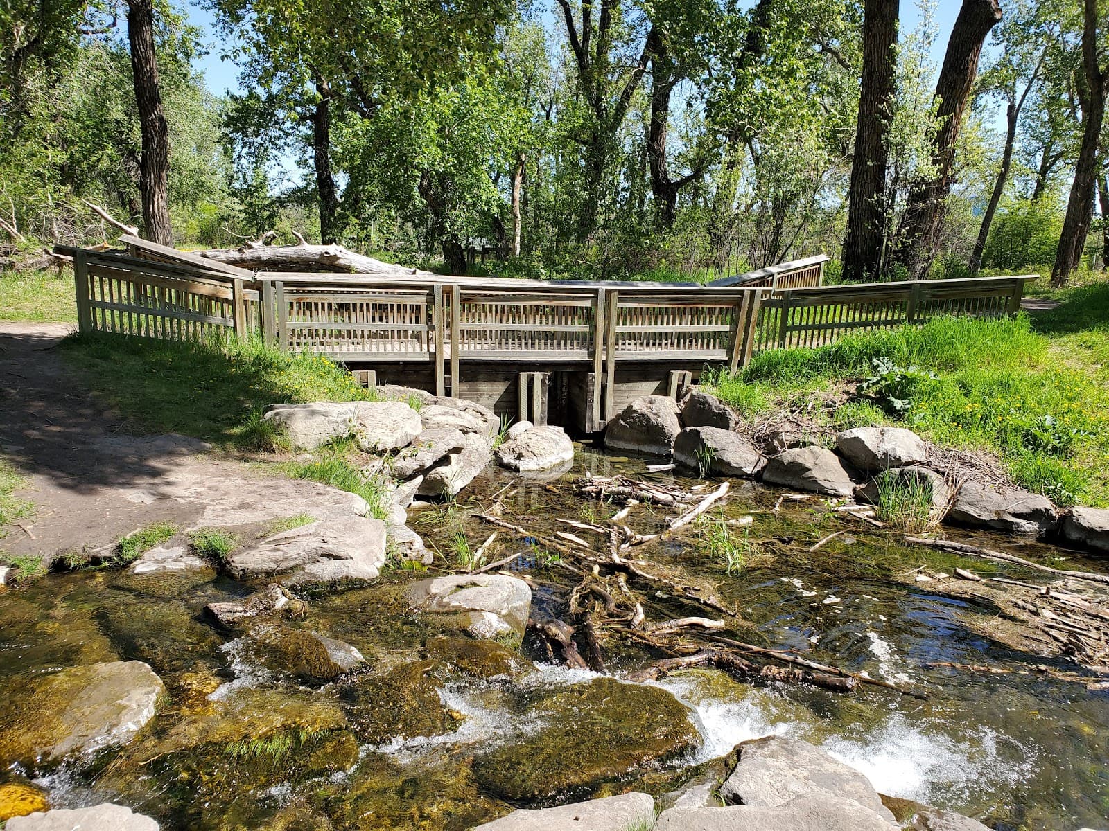 Pearce Estate Park and Harvie Passage - Image 1
