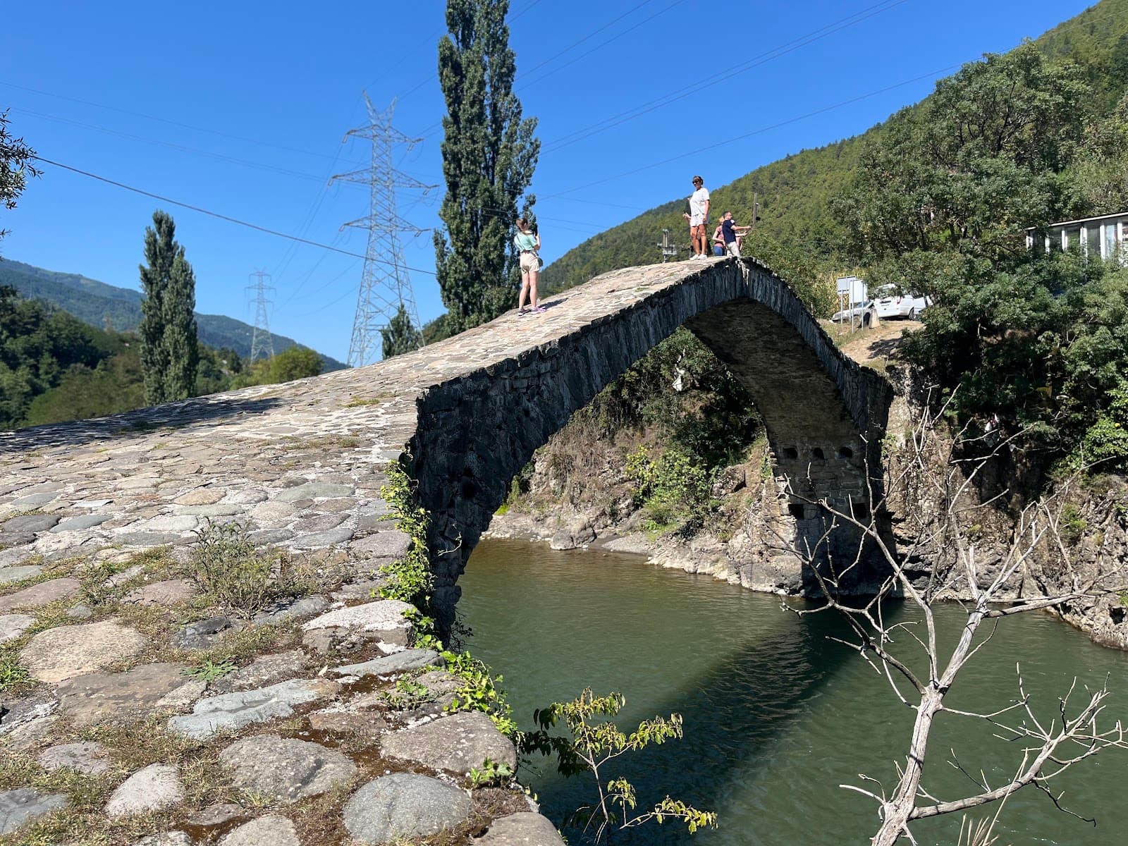 Dandalo Bridge - Image 1