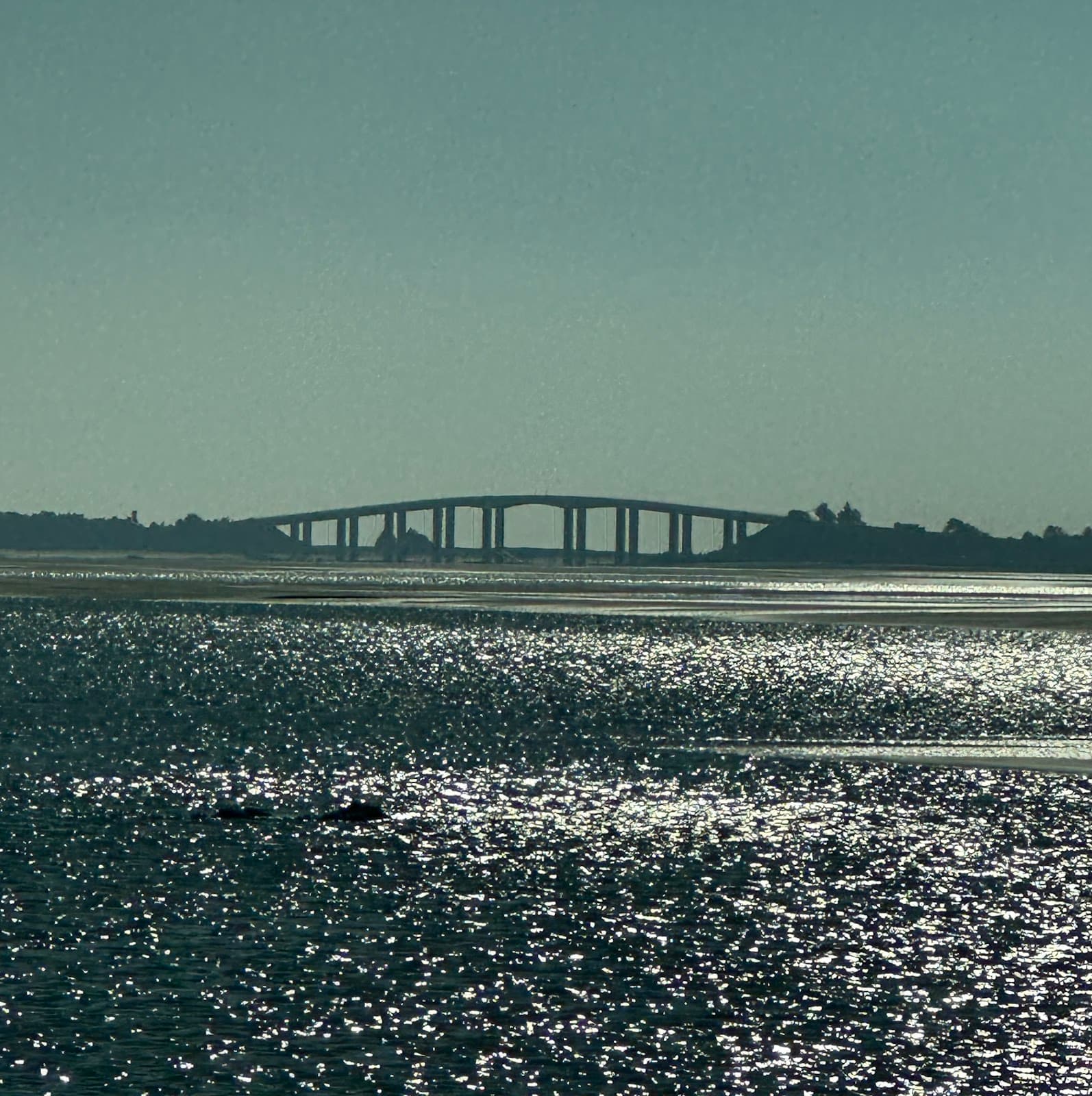 Pont de Noirmoutier - Image 1
