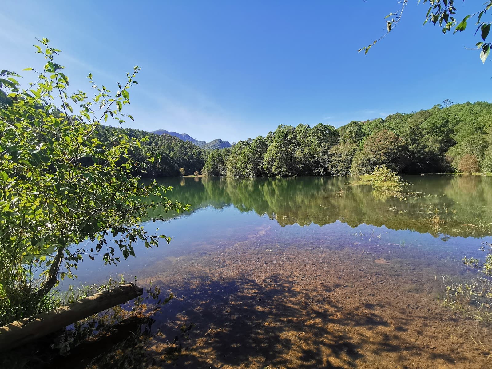 Rancho Santa Elena (Huasca) - Image 1