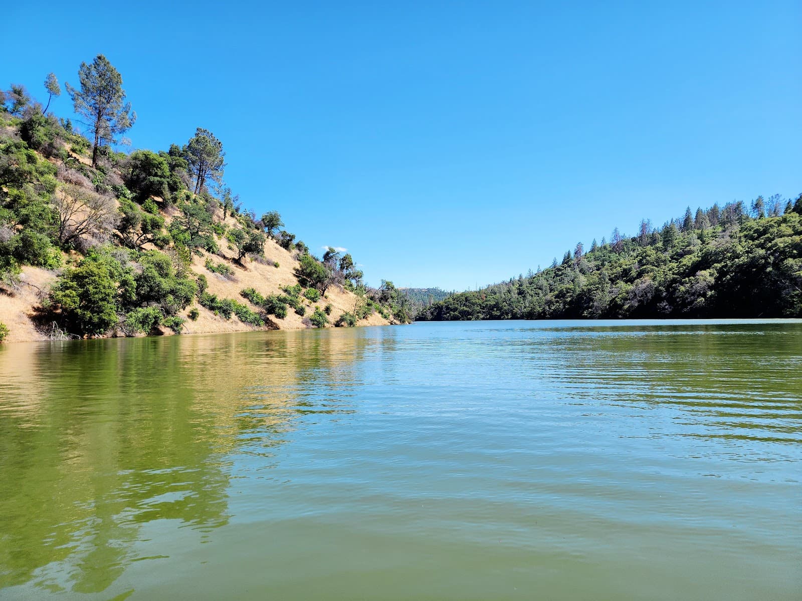 Lime Saddle Marina - Image 1