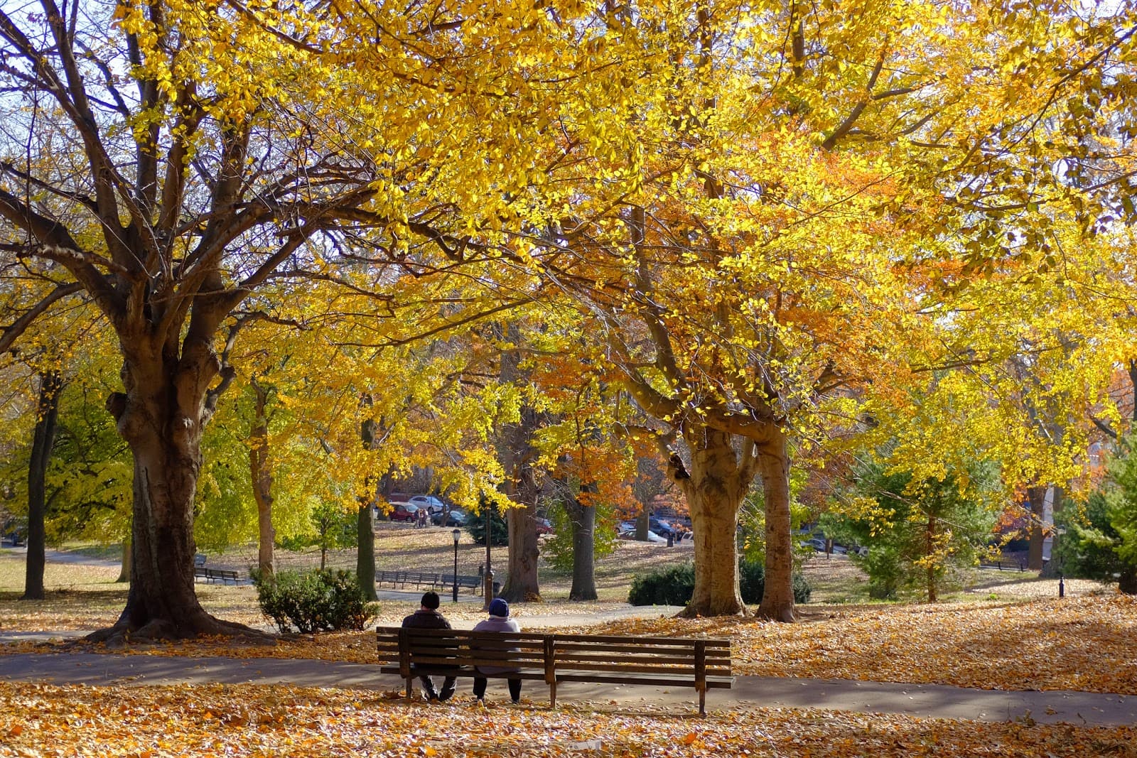 Owl's Head Park - Image 1