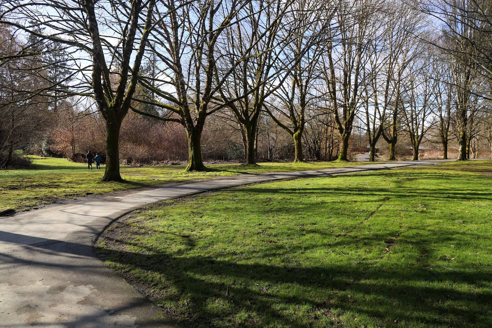 Wildlife Observation