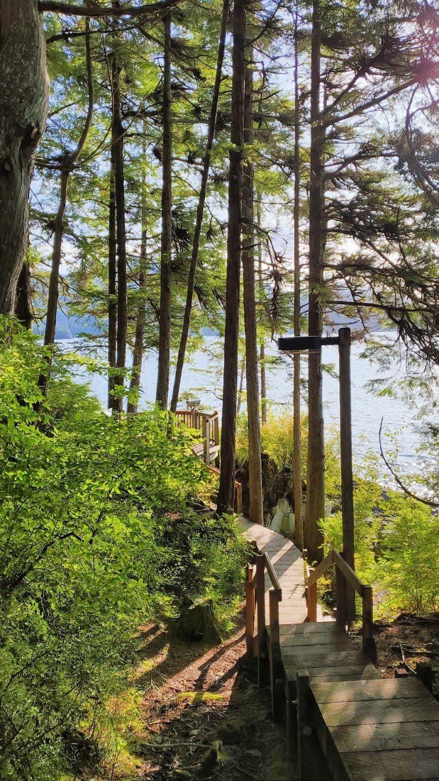 Whale Park - Image 1