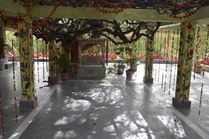 Ter Kadamba - Image 1