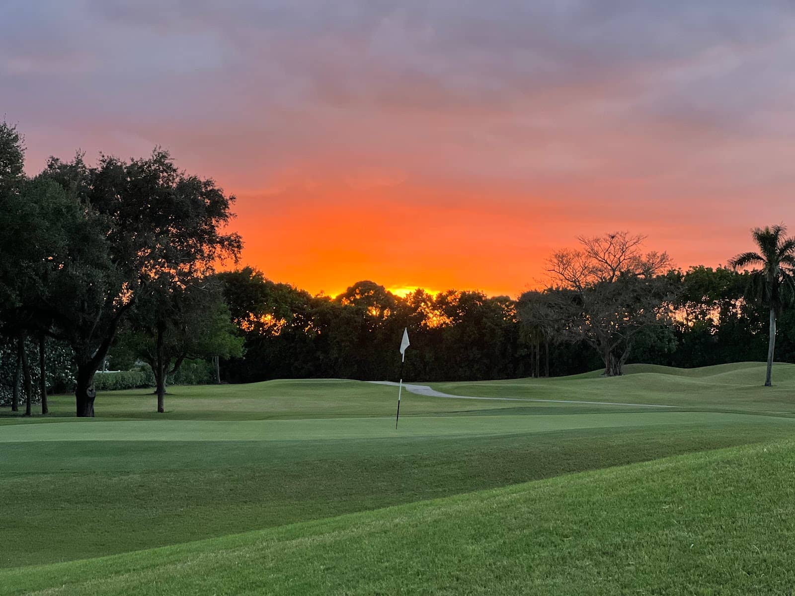 Modern Carts & Amenities