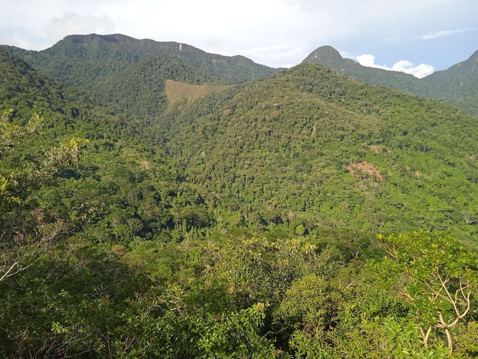 Cordillera Escalera Conservation Area - Image 1