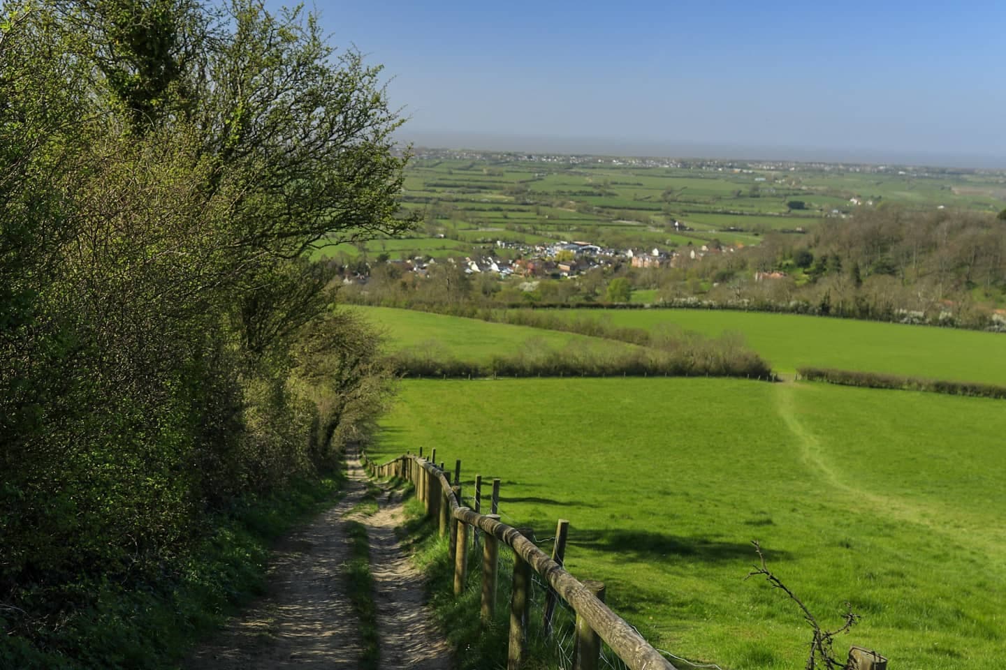 Brent Knoll - Image 1