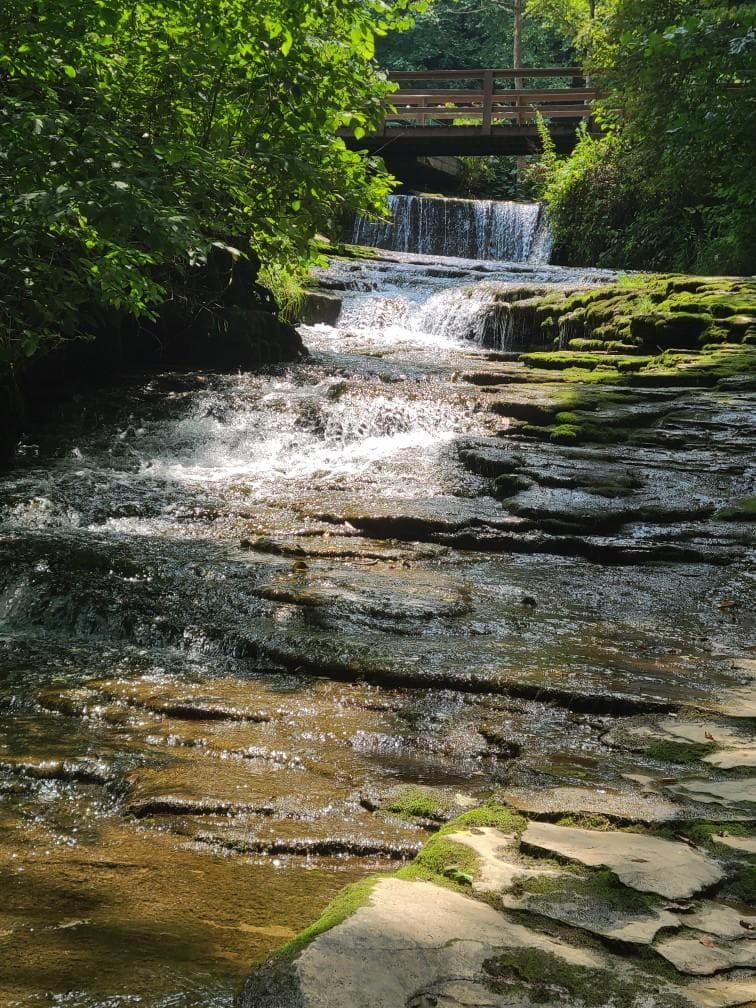 Saunders Springs Nature Preserve - Image 1