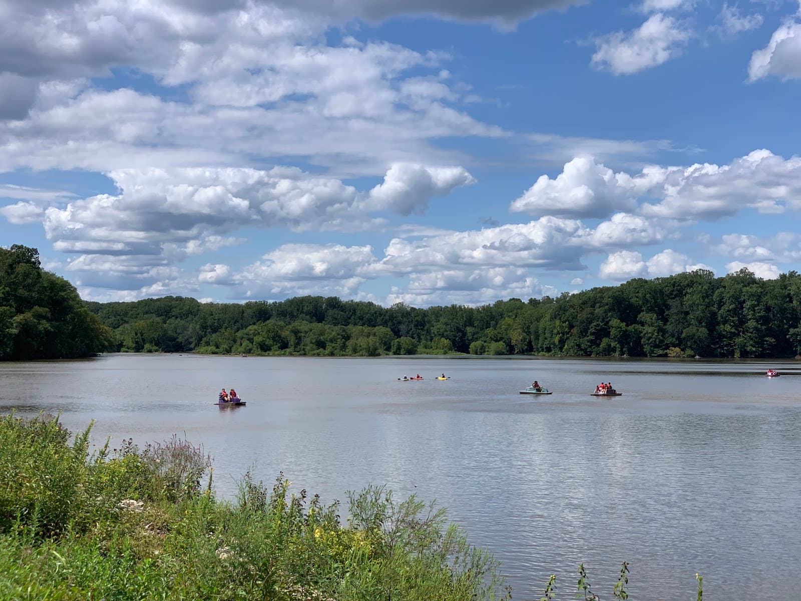 Kid-Friendly Playground