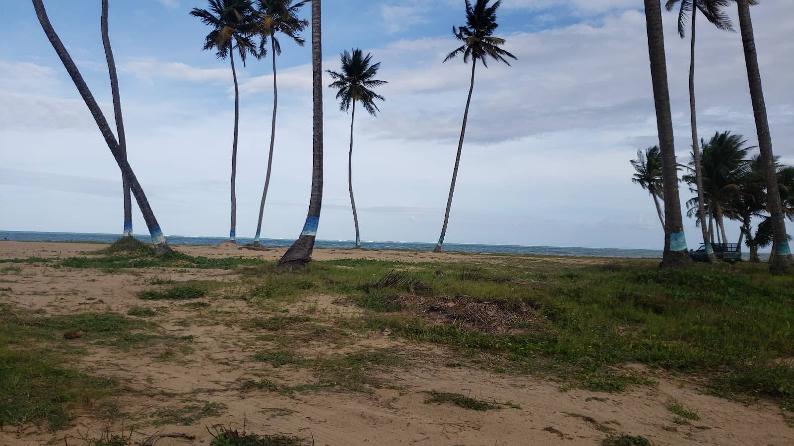 Photographer's Paradise