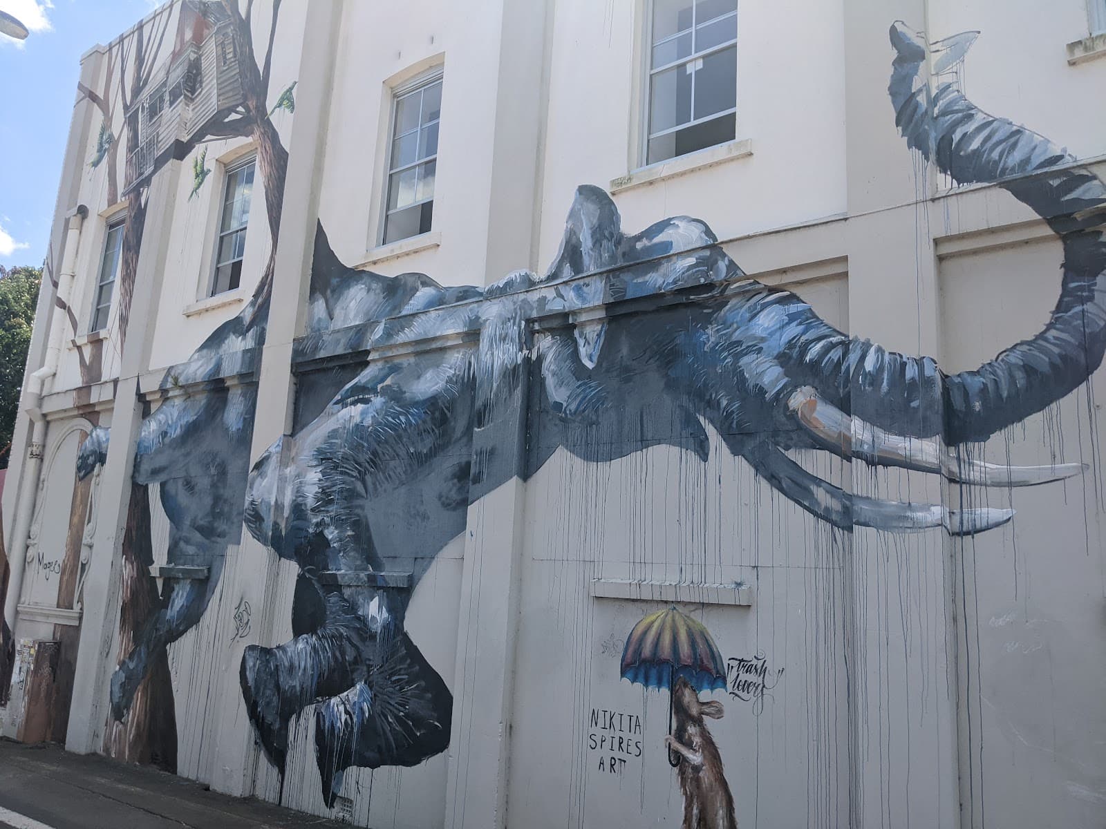 Toowoomba Street Art Trail First Coat - Image 1