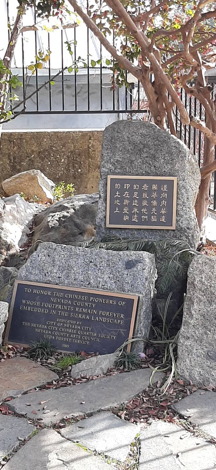 Self-Guided Tree Walk