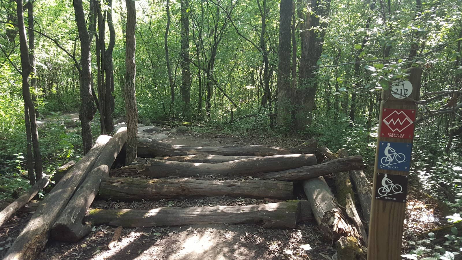 Stunning Fall Colors