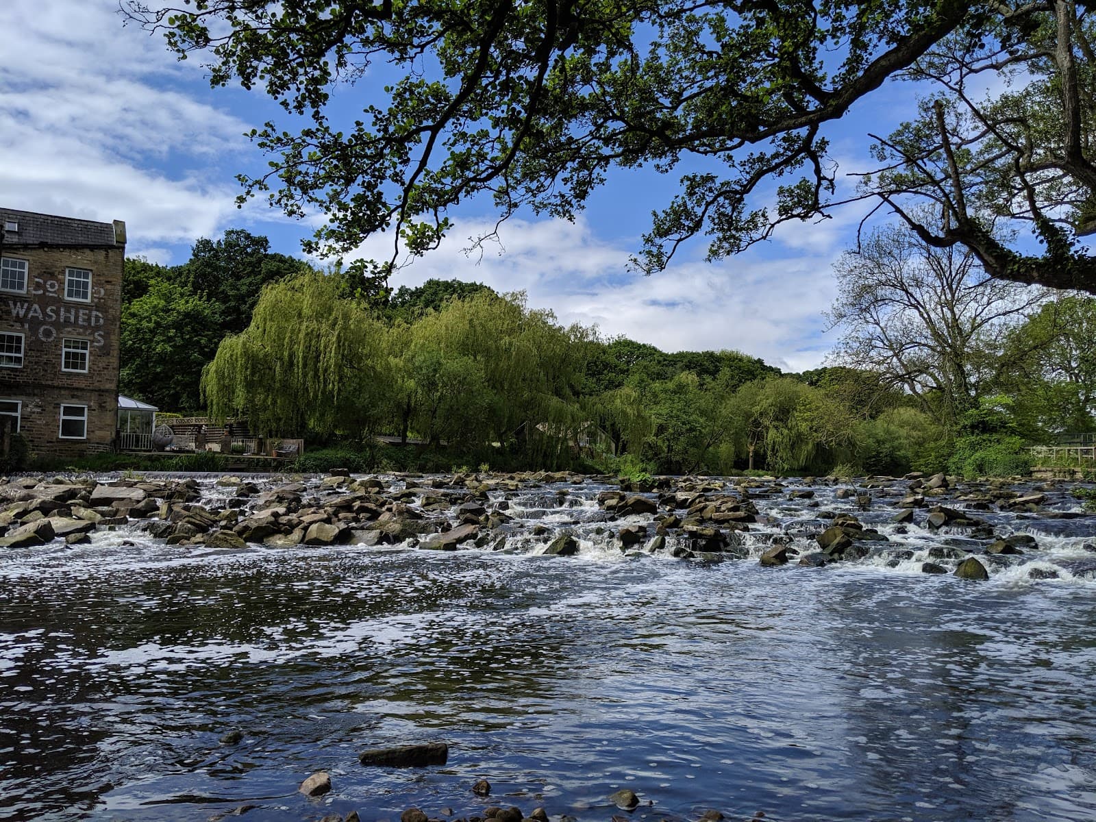 Hirst Wood Nature Reserve - Image 1