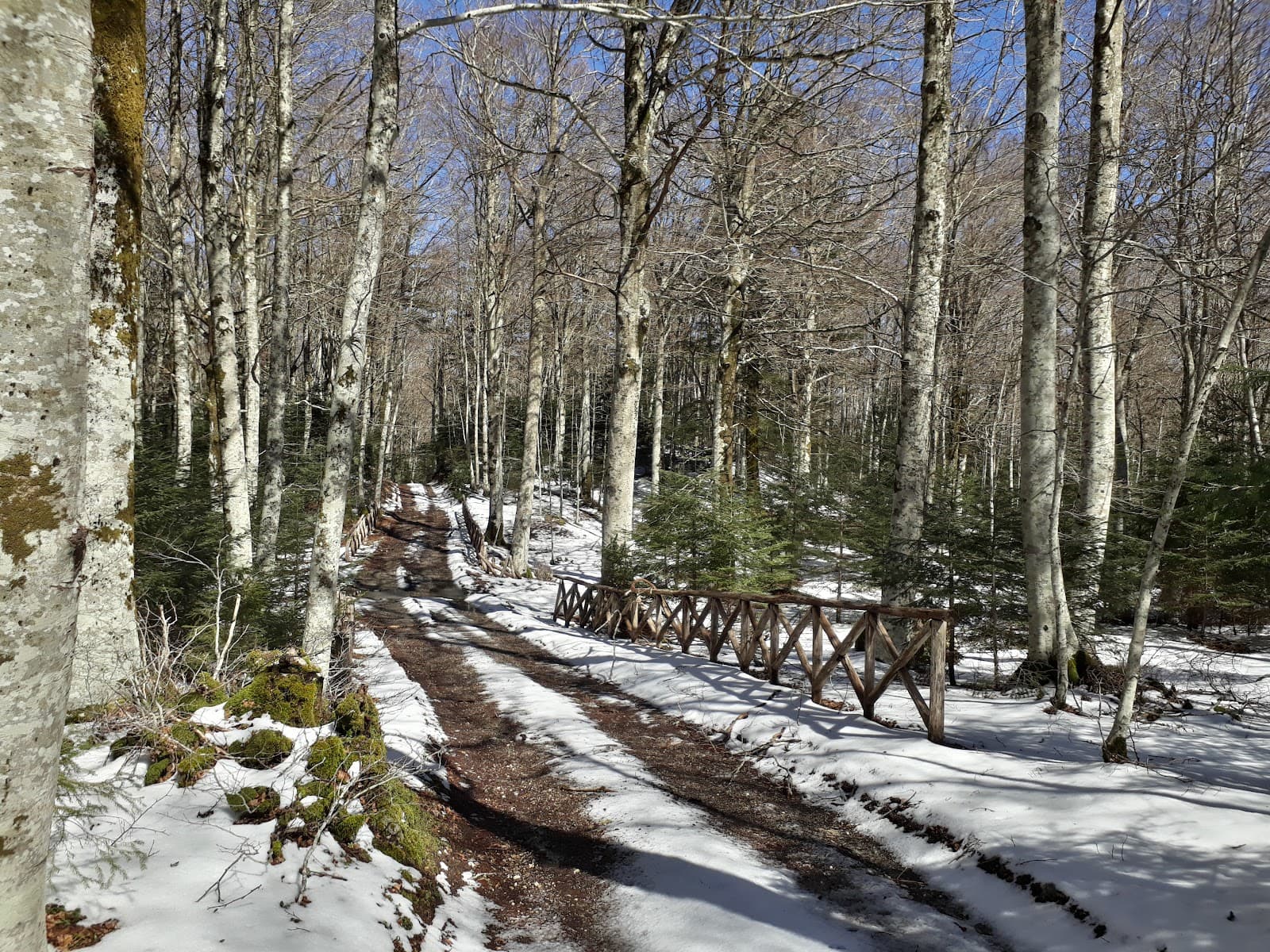 Monte Pecoraro - Image 1