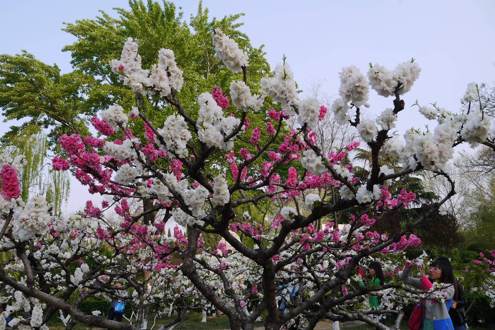 Tranquil Walking Trails