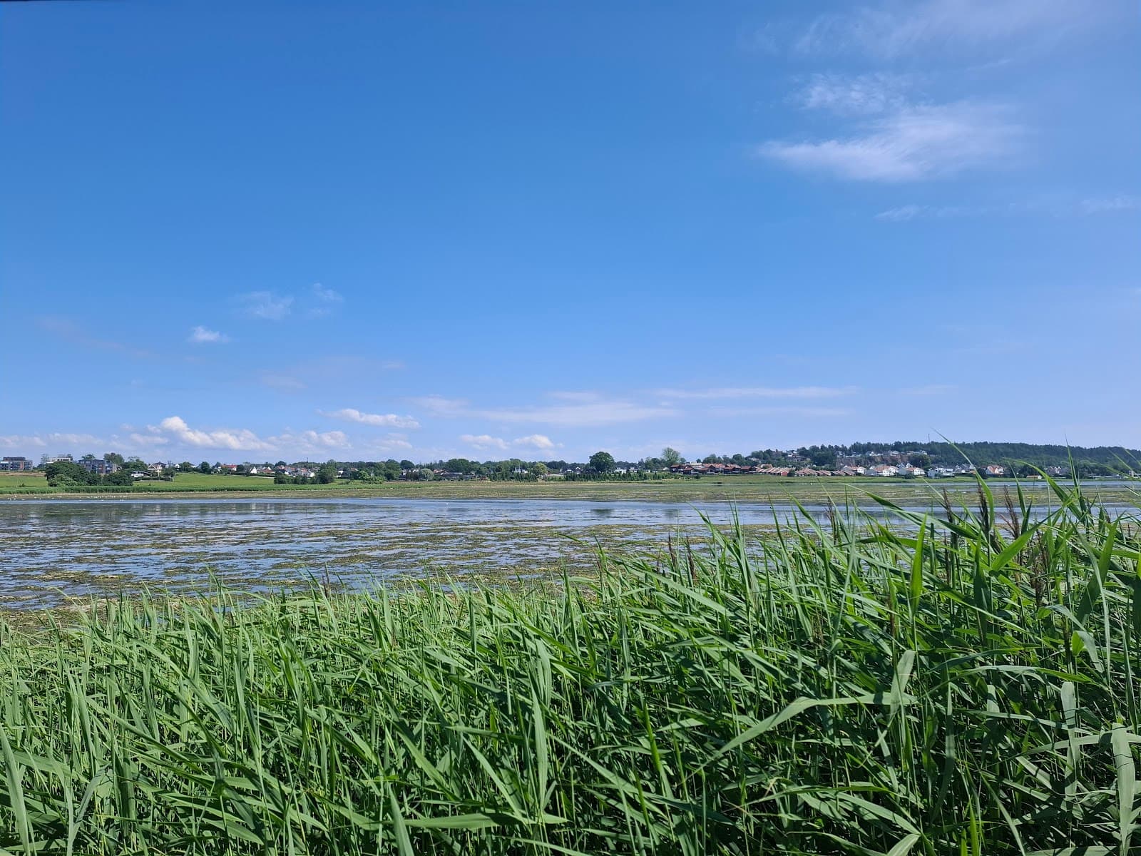 Presterødkilen Nature Reserve - Image 1