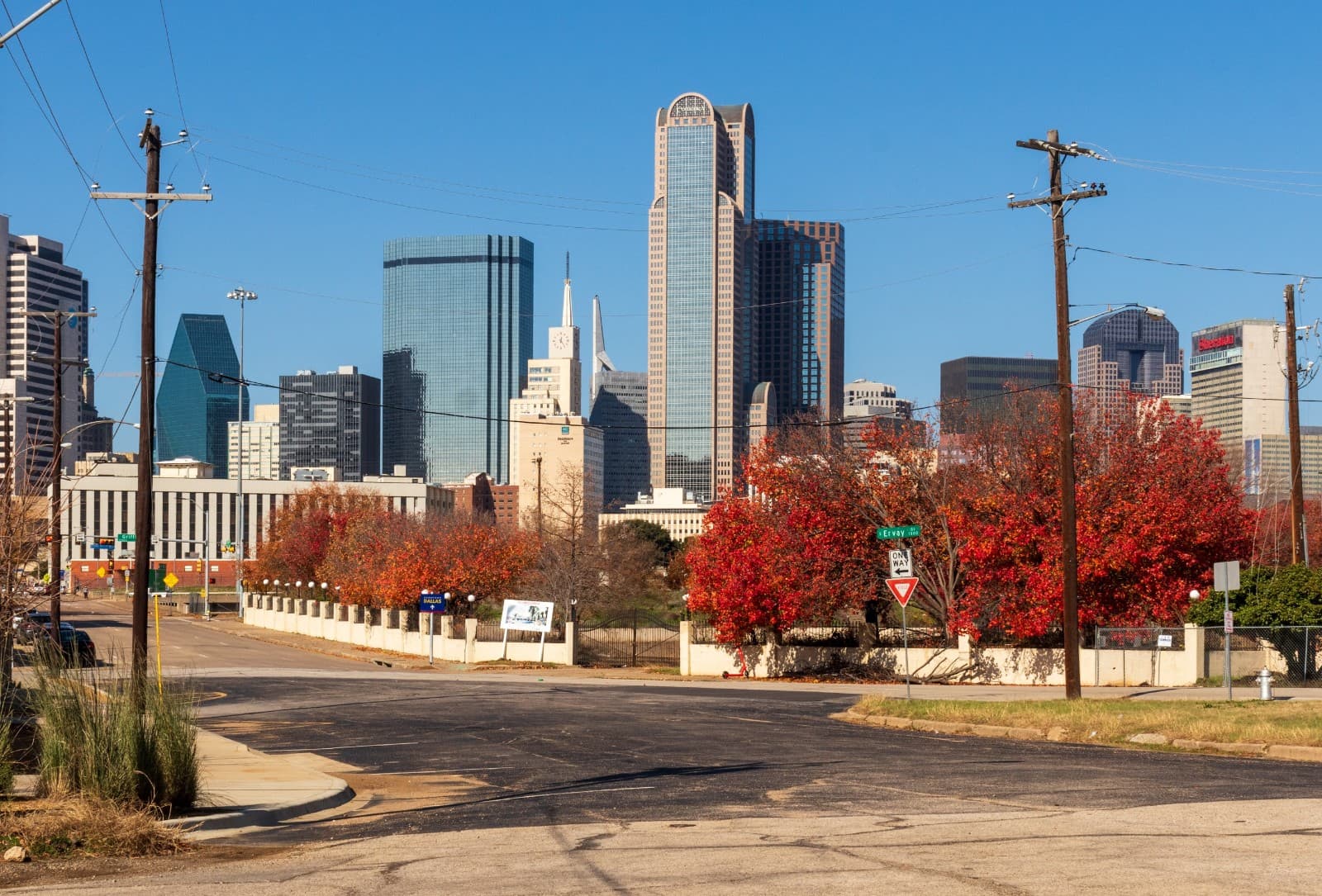 The Cedars - Image 1