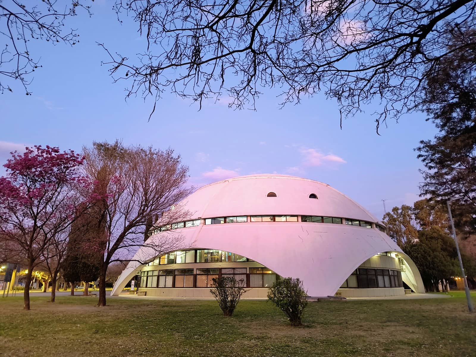 Family-Friendly Afternoon