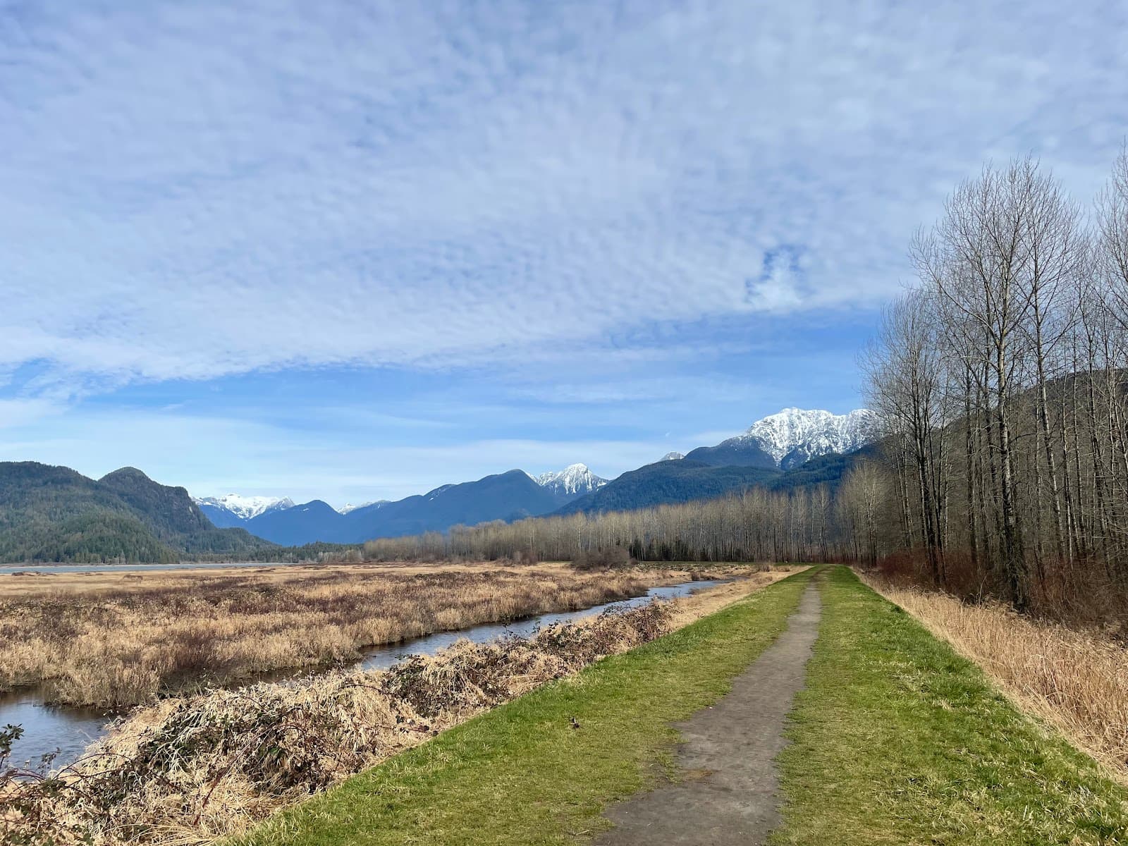 Pitt-Addington Marsh & Pitt Lake - Image 1