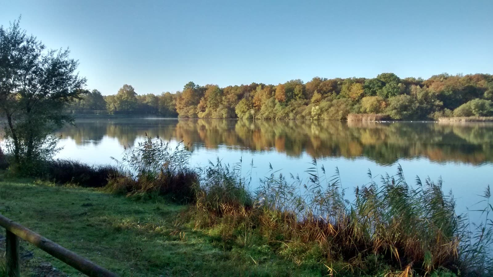 Étang de la Tour - Image 1