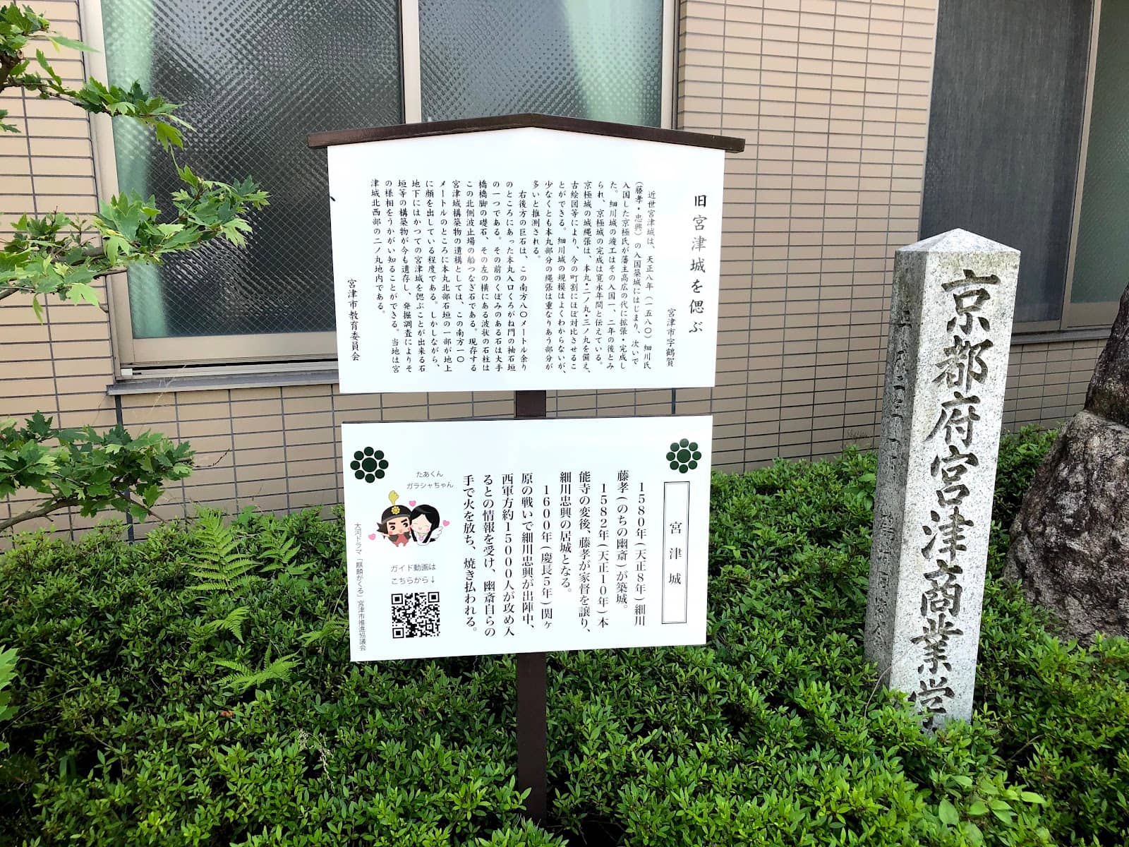 Vertical photo
