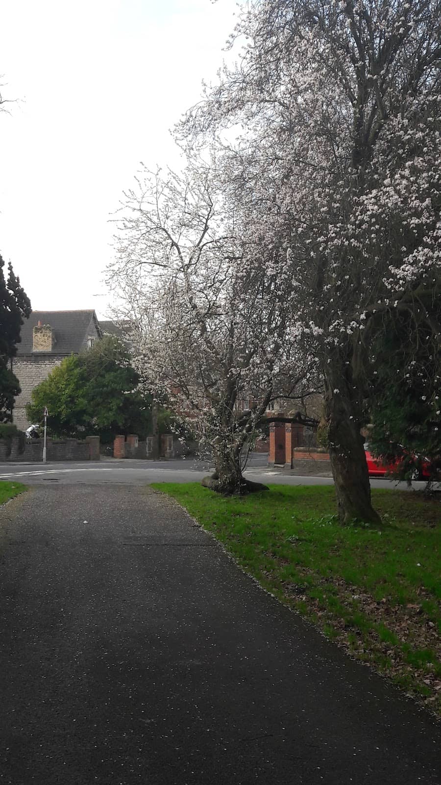 The Heart of Penarth