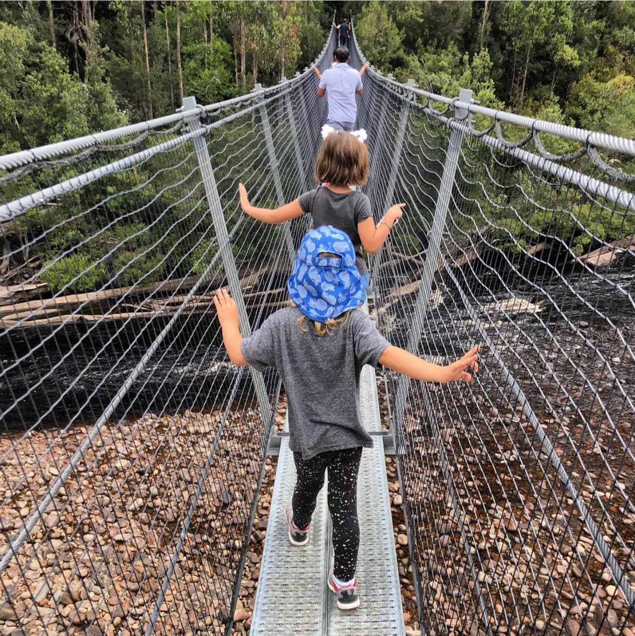 Tahune Airwalk Tasmania - Image 1