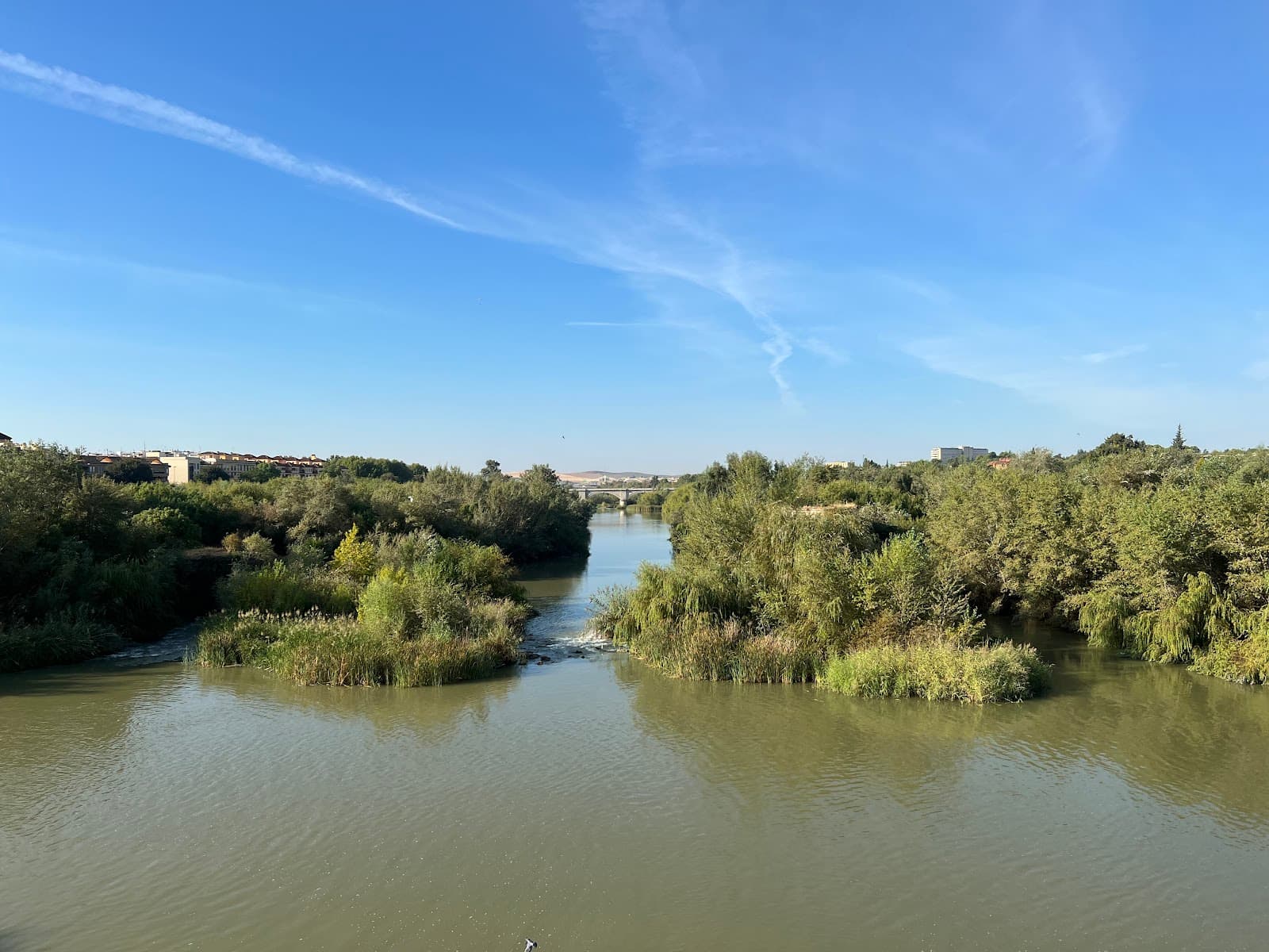 Sotos de la Albolafia Córdoba - Image 1