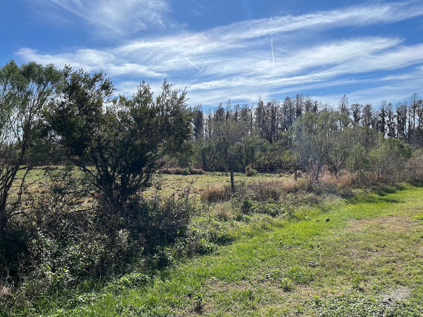 Starkey Gap Trail - Image 1