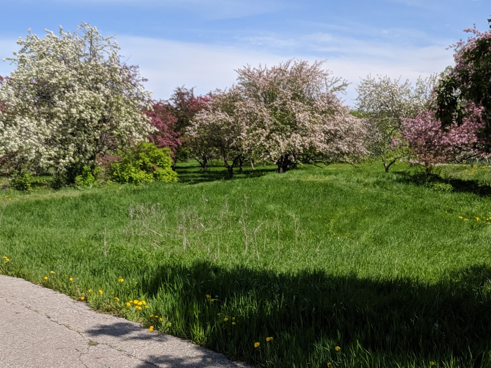 Orchard Glen Park - Image 1