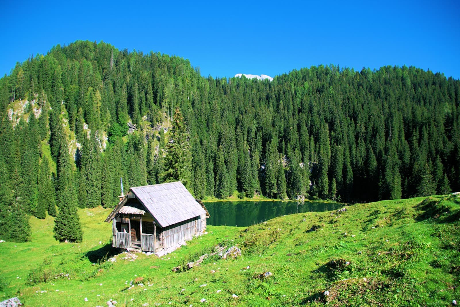 Planina pri Jezeru - Image 1