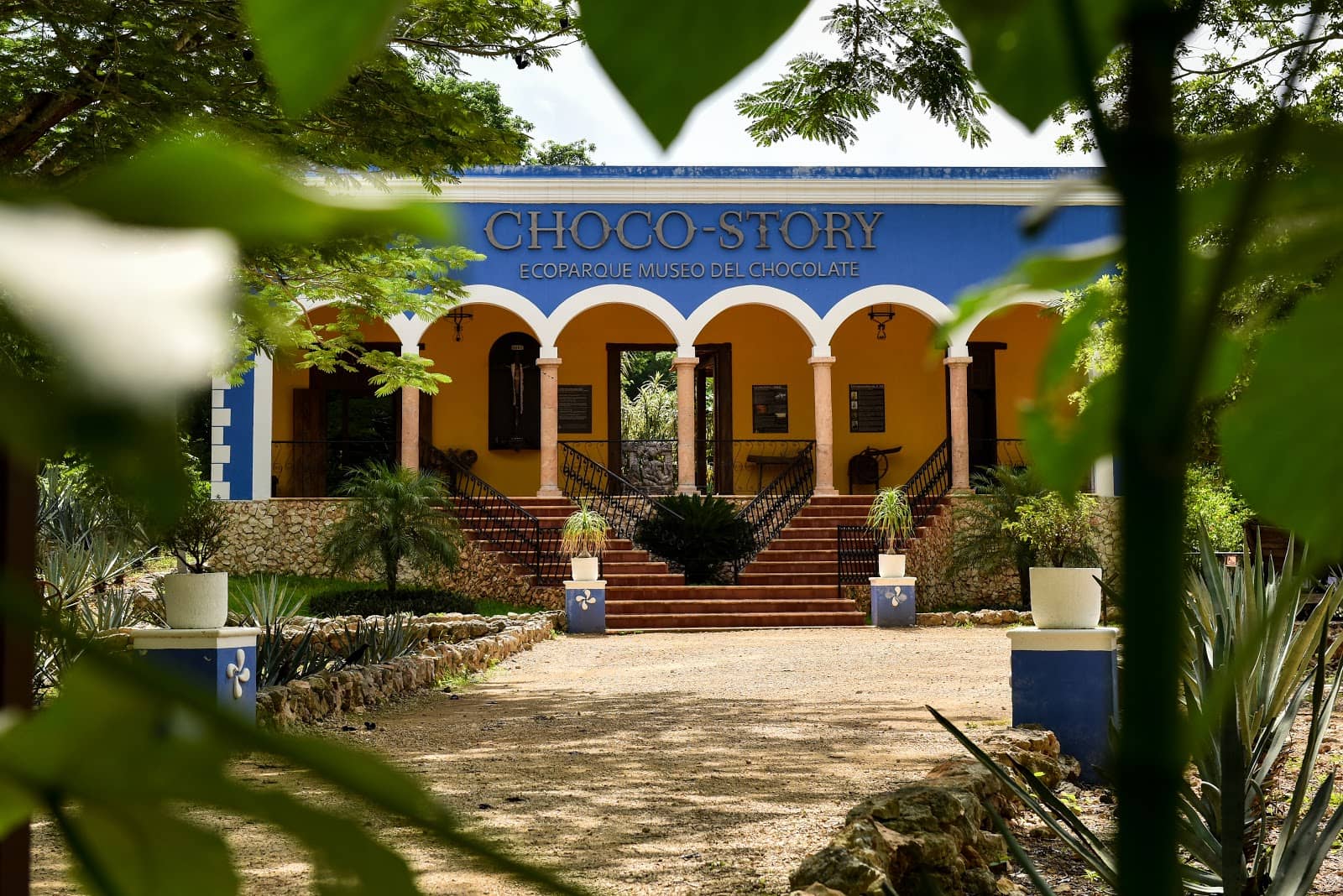 Chocolate History Exhibits