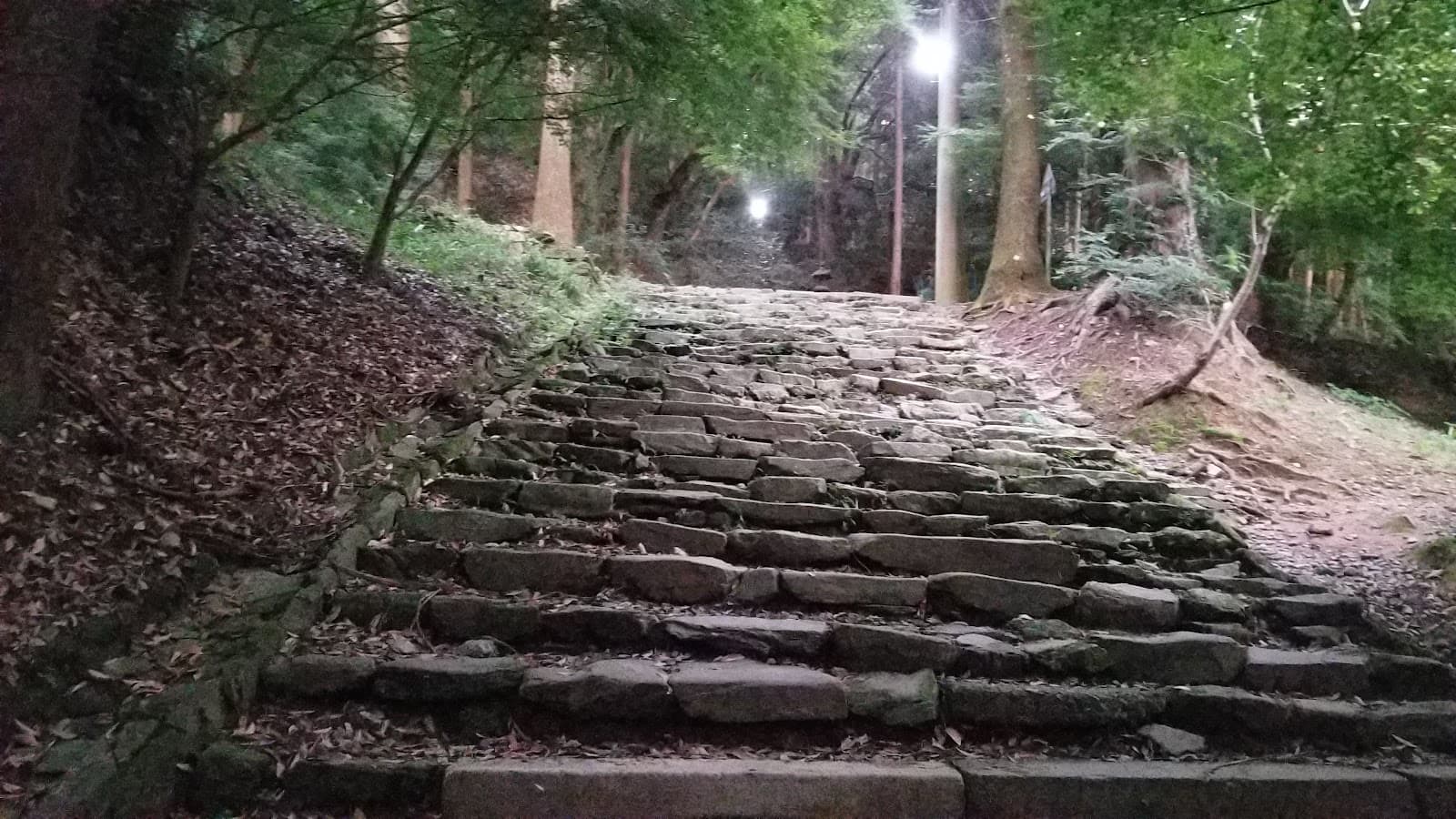 Mt. Kora Trails - Image 1