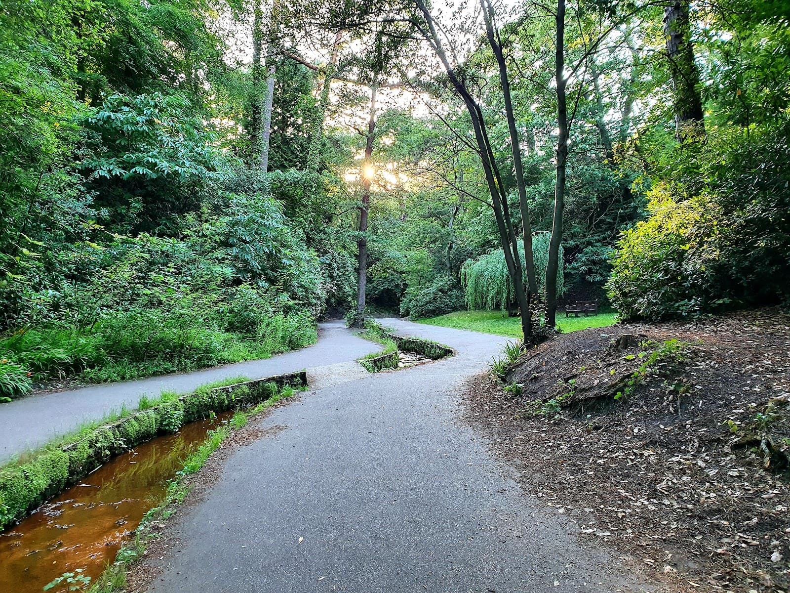 Branksome Chine Gardens - Image 1
