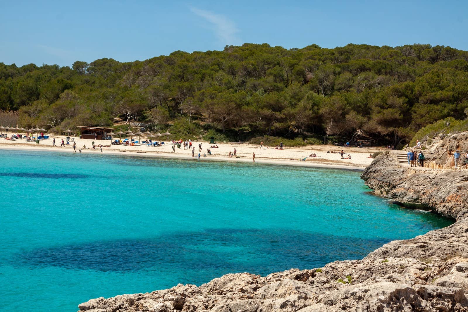 Natural Park Scenery