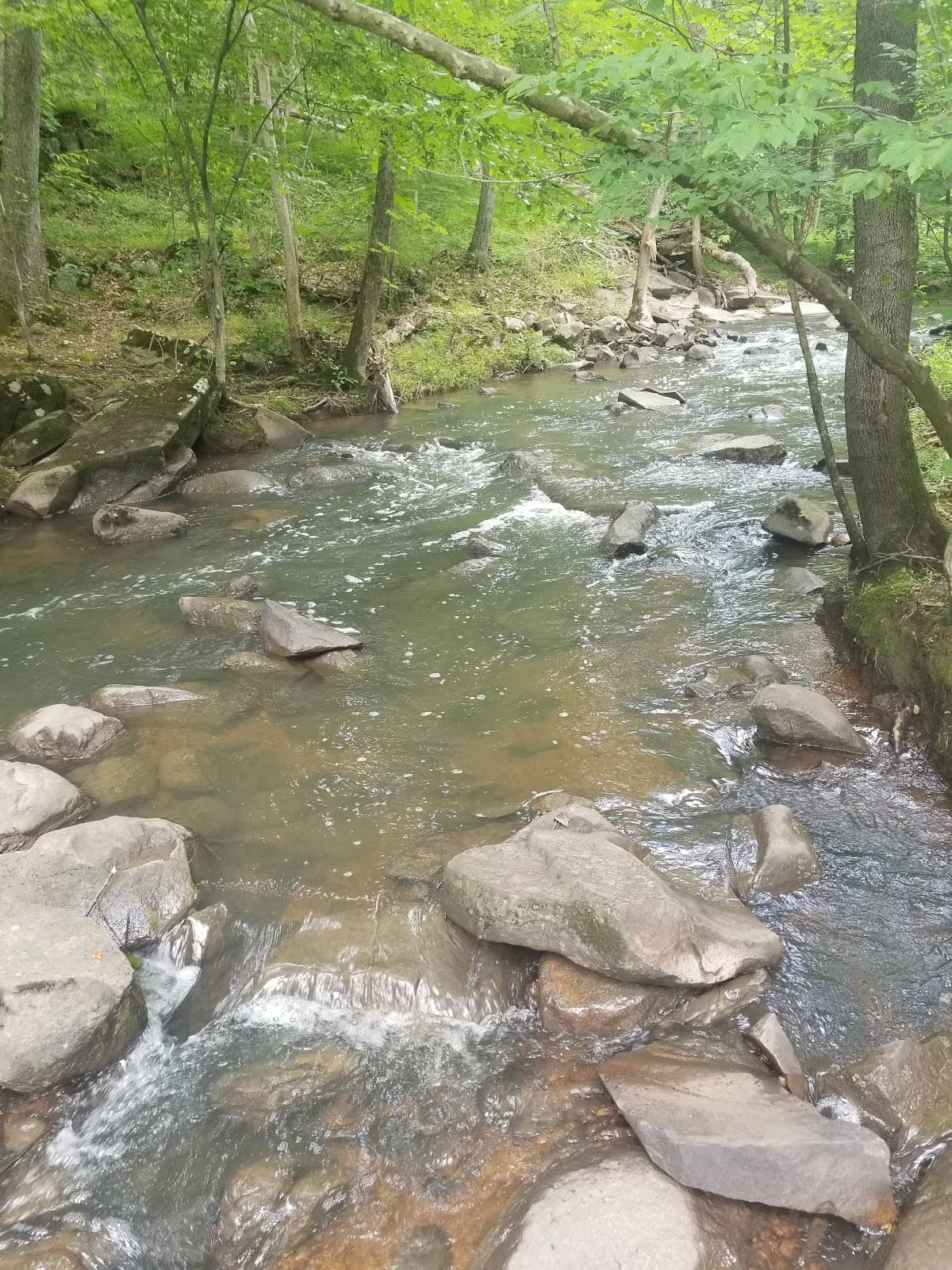 Cabell's Mill - Image 1