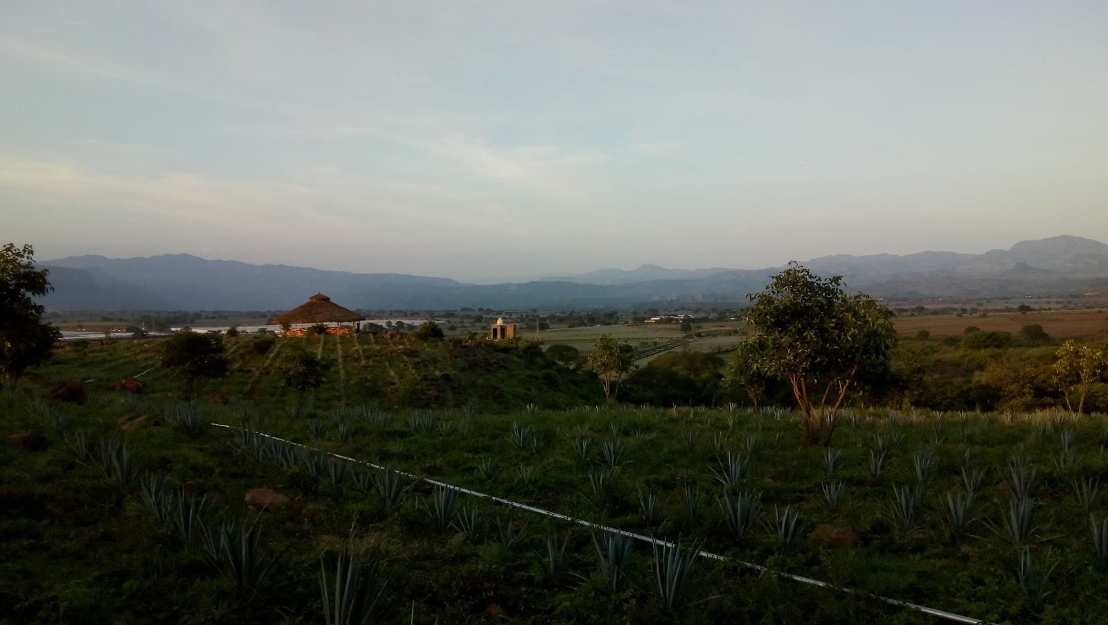 Agave Landscape of Tequila (UNESCO) - Image 1