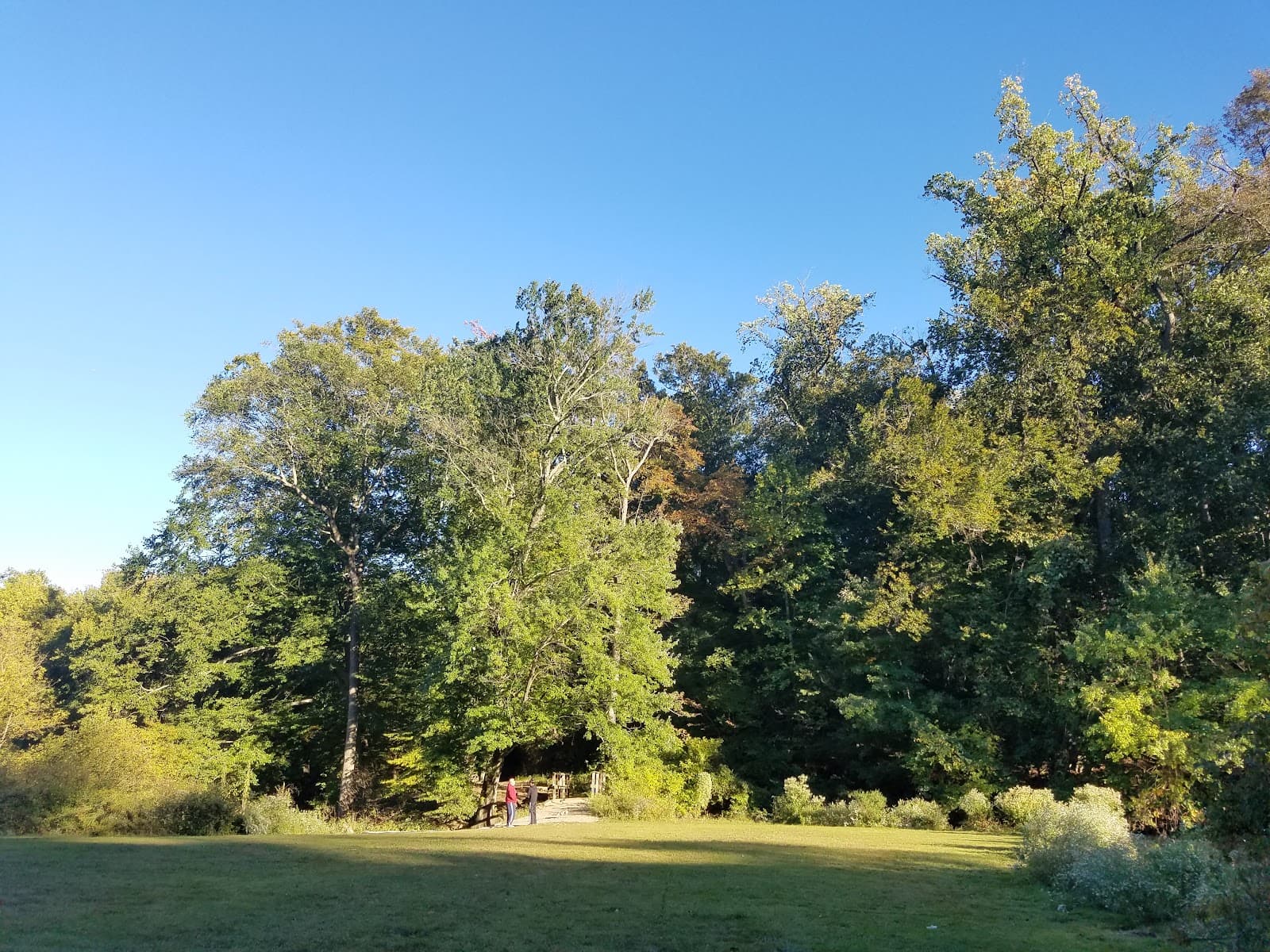 Pennypacker Park - Image 1