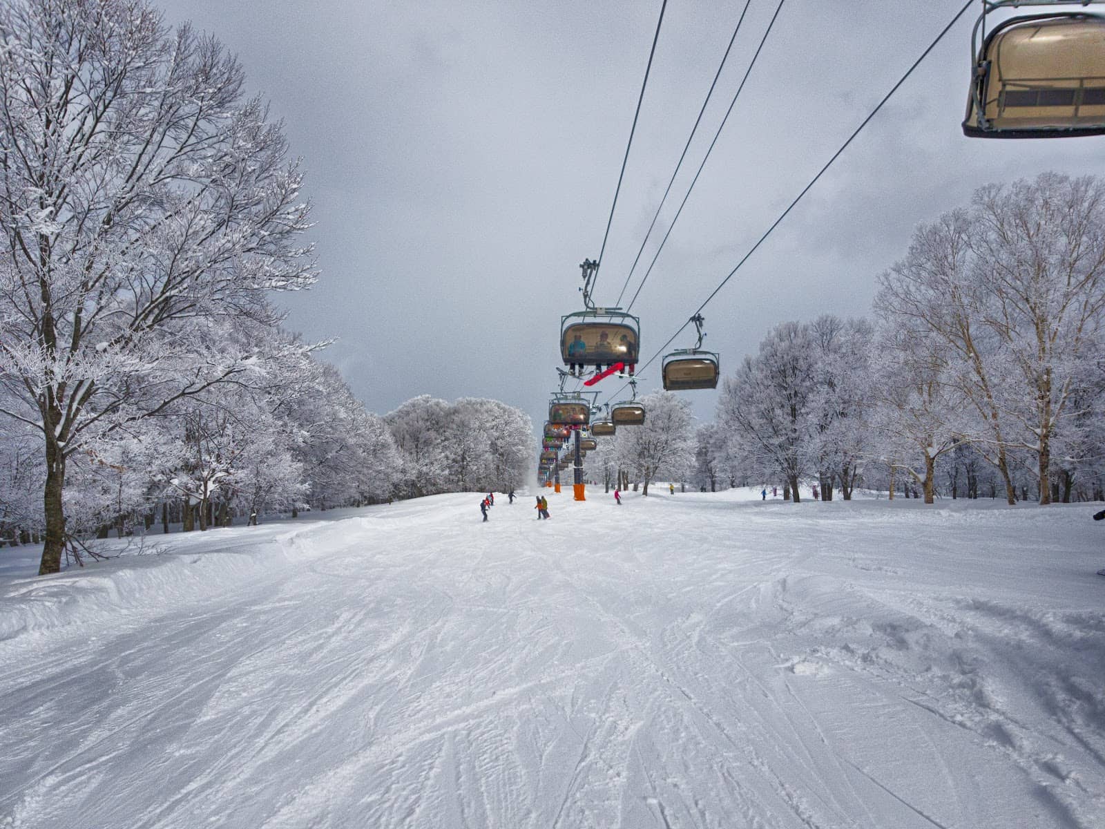 Challenging Black Diamonds