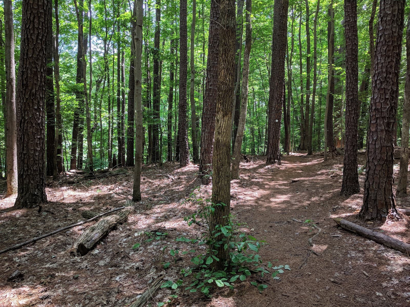 Price Park - Image 1